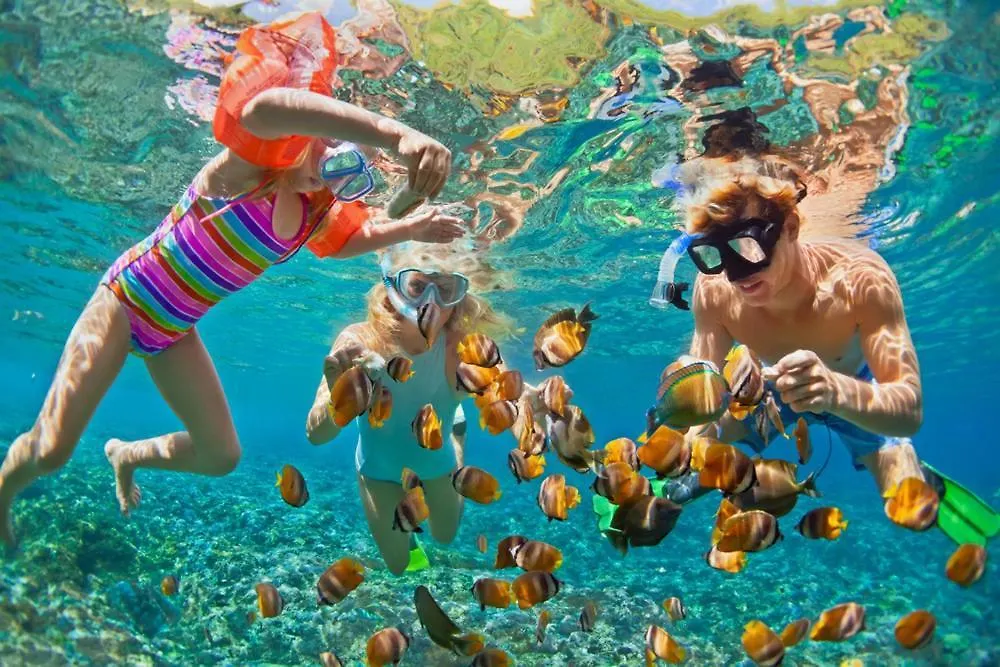Golden Palms House Bed & Breakfast Nassau 3*,  Bahamas