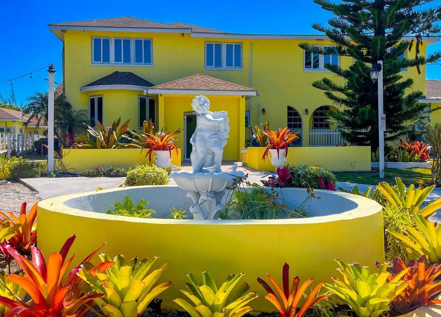 Bed and Breakfast Golden Palms House Nasáu