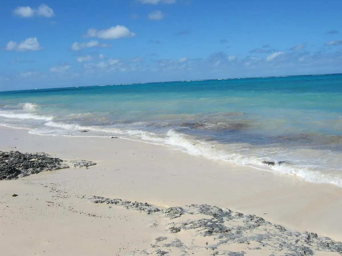 Bed and Breakfast Golden Palms House Nasáu 3*,  Bahamas